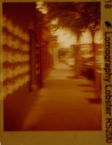 20240702LomoLobsterLomo110-13.jpg